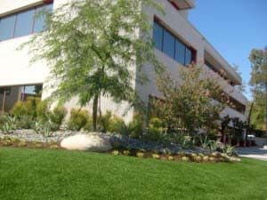 synthetic grass for commercial and retail buildings