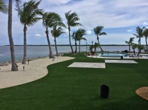 Artificial grass backyard next to ocean with palm trees
