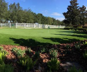 Artificial Turf Putting Green