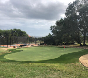 Artificial Turf Putting Green